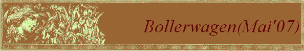 Bollerwagen(Mai'07)