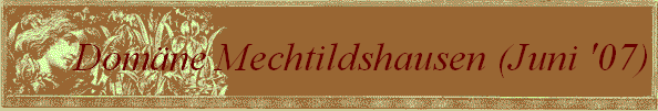 Dom�ne Mechtildshausen (Juni '07)