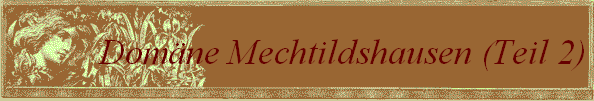 Dom�ne Mechtildshausen (Teil 2)
