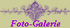 Foto-Galerie