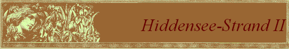Hiddensee-Strand II
