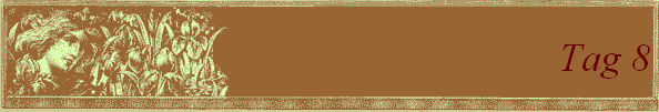 Tag 8