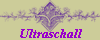 Ultraschall
