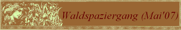 Waldspaziergang (Mai'07)