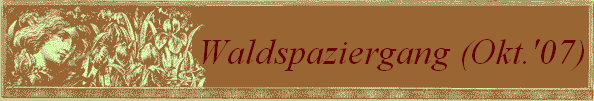 Waldspaziergang (Okt.'07)