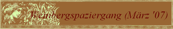 Weinbergspaziergang (M�rz '07)