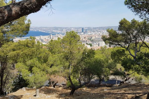 20170717-marseille-3786F39B74-7393-D2F2-913B-6D94C414A2E8.jpg