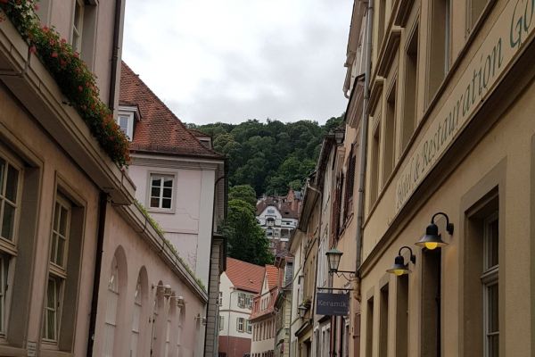 20190705-heidelberg-105036CCE9-BBBD-334A-B2AF-791245FC52BC.jpg