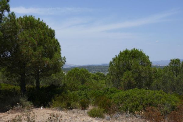 20190708-route-des-cretes-la-ciotat-cassis-124152C13C-0055-F673-892B-EB8DCC802BCF.jpg