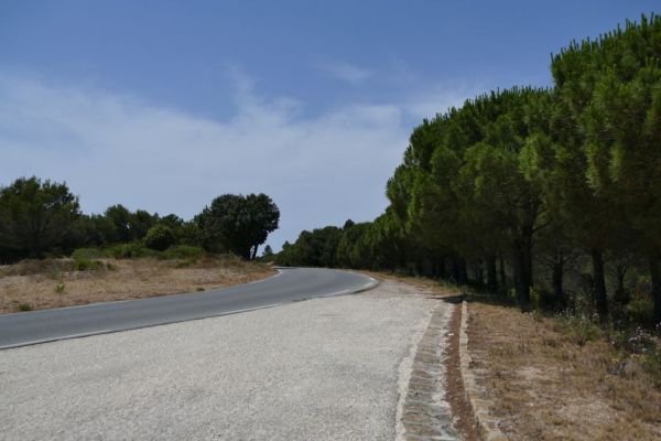 20190708-route-des-cretes-la-ciotat-cassis-1370D27DB0-046A-F328-2109-2521E60681B8.jpg