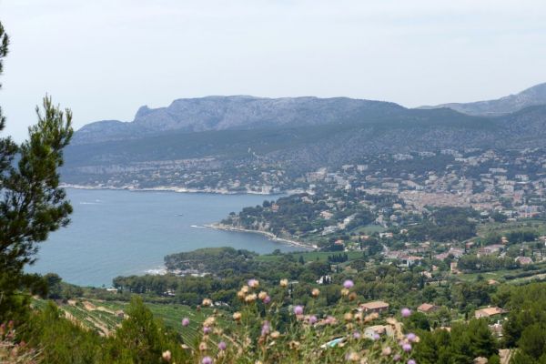 20190708-route-des-cretes-la-ciotat-cassis-31CB1E8BF2-052E-47E6-7DF8-32B2E00E212E.jpg