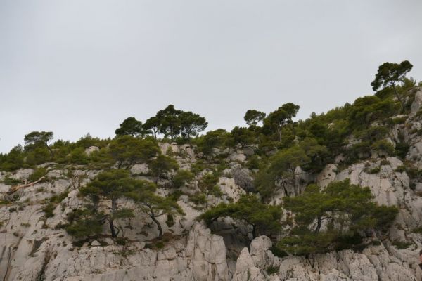 20190709-calanques-bei-cassis-315AFB11F7-A2BF-2BE0-7294-CC8ABF6E80F1.jpg