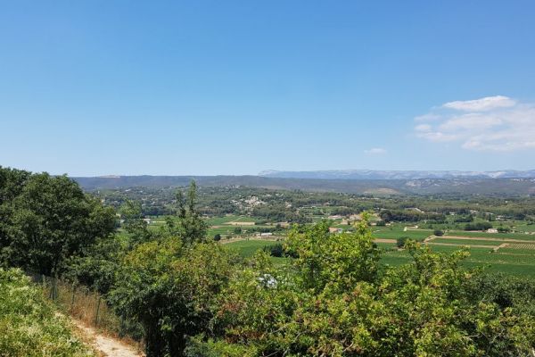 20190710-la-cadiere-215620217E-6D9D-726A-8121-EAC3044DE41E.jpg