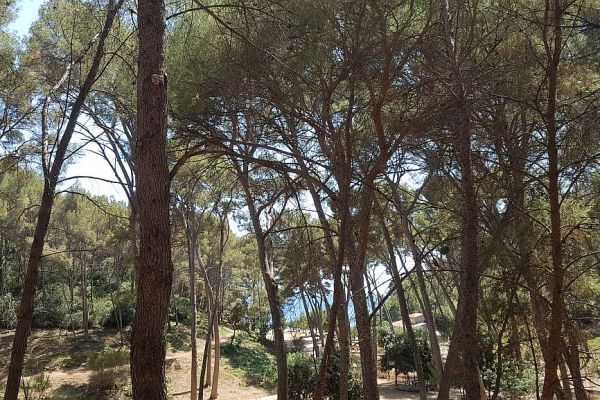 20190710-la-calanque-de-port-dalon-016127769F-AC6D-3555-7B2A-310ECA38DC5F.jpg