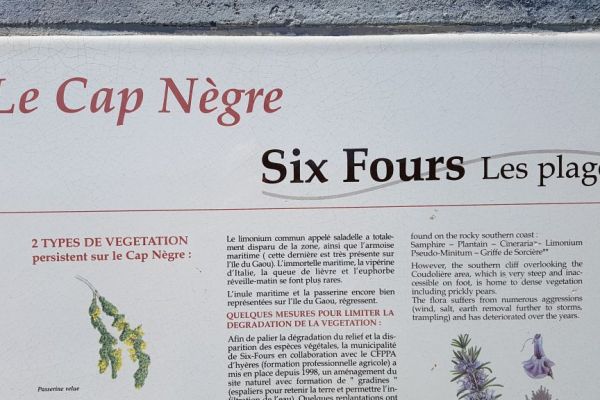 20190713-le-cap-negre-0178162EF9-4DA0-EBBF-96C0-AF0DF7256D4E.jpg