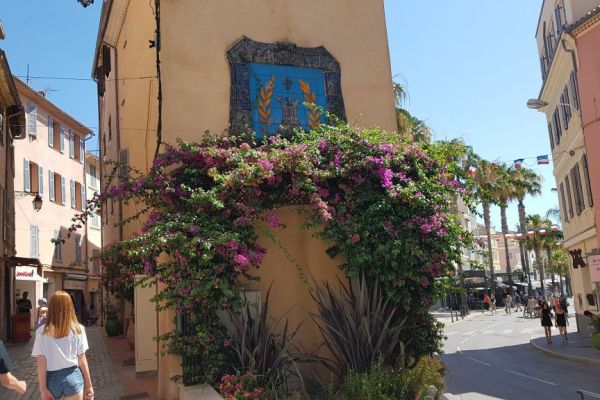 20190713-sanary-sur-mer-05D5FBFC70-BF74-933B-D7FD-5B27A07658D4.jpg