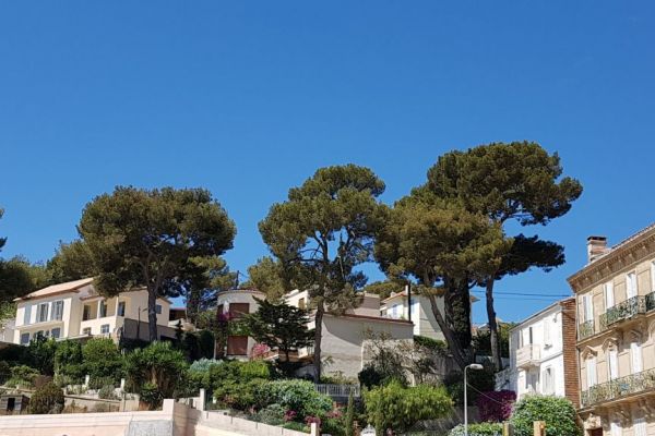 20190713-sanary-sur-mer-25E1DF9C87-9318-6785-11F3-E6A1EBD1C08E.jpg