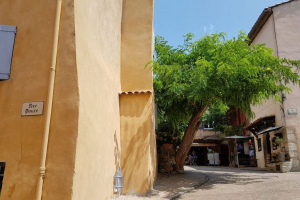 20190715-le-castellet-18B5ECB069-8B71-420C-10AC-C3F6827783B5.jpg