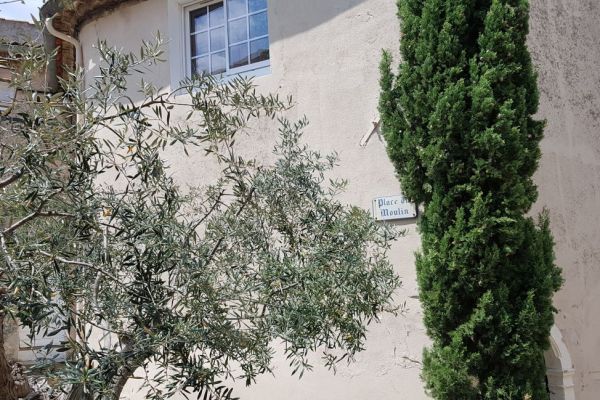 20190715-le-castellet-1983FF45D1-EE93-4991-08BA-EA580BFA60E2.jpg