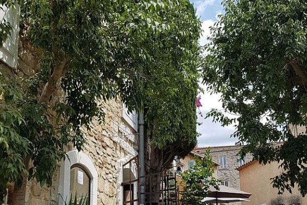 20190715-le-castellet-3447222BAA-D13E-67C0-8B5F-D2F61176D813.jpg