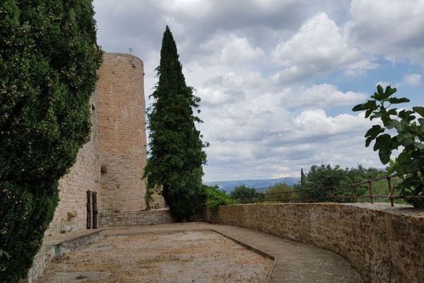 20190715-le-castellet-3561C37588-4B6A-892A-578B-9B4CB1DAE7D1.jpg