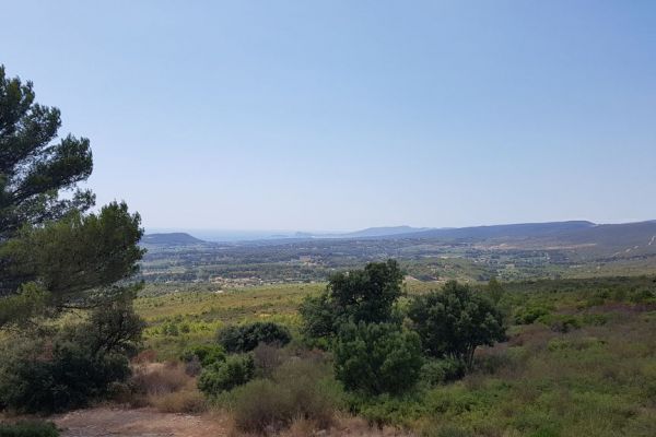 20190715-le-castellet-4069312644-716E-ACC3-FD75-34A3AE335E55.jpg
