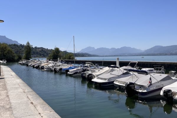 img-1503913AEA1D-BC16-228B-F02C-FCDB4B72ABB0.jpeg