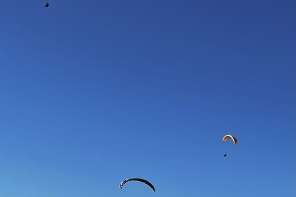 img-1684BAFA2439-17C6-2419-144A-675C2D777D42.jpeg